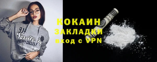 ГАЛЛЮЦИНОГЕННЫЕ ГРИБЫ Абаза