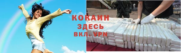 ГАЛЛЮЦИНОГЕННЫЕ ГРИБЫ Абаза