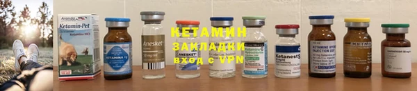 ГАЛЛЮЦИНОГЕННЫЕ ГРИБЫ Абаза
