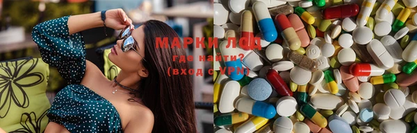 ГАЛЛЮЦИНОГЕННЫЕ ГРИБЫ Абаза
