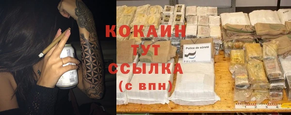 ГАЛЛЮЦИНОГЕННЫЕ ГРИБЫ Абаза