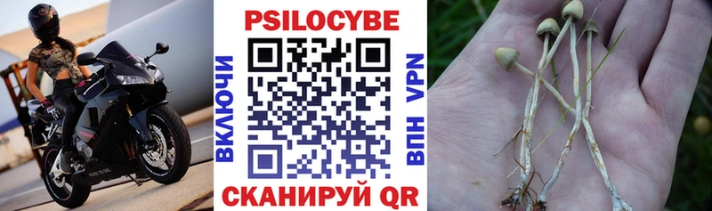 Галлюциногенные грибы прущие грибы Нахабино